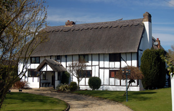 Green Farm March 2008